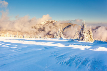 Amazing winter in the mountains