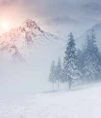 Amazing winter landscape