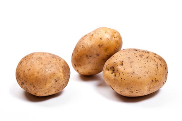 Potatoes isolated on white.