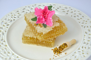 Pieces of honeycomb, pollen and flower