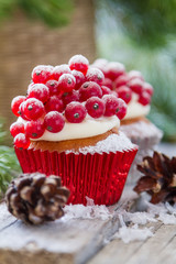 Christmas cupcake