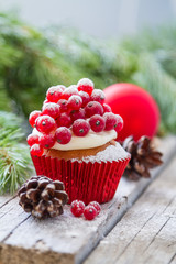 Christmas cupcake