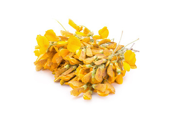 Sesbania flowers isolated on white background