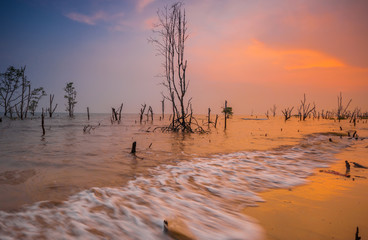 Minimalist Concept.Bora-Bora At Beach,Sunset.With Death Trees. - obrazy, fototapety, plakaty