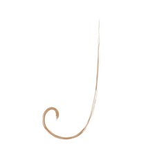 алфавит, буквы, гранж, желтый, коричневый, белый, минимализм, структура, завитушки, воздушность, простота, роскошь