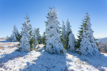 First snow in mountain area at idyllic sunny day
