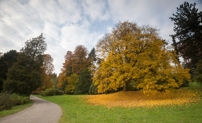Fototapeta na wymiar bergpark wilhelmshoehe kassel germany in the autumn