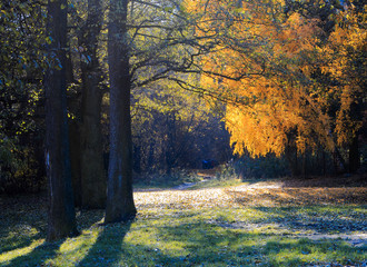 Jesienny Park 