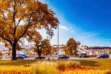 flower bed in Budapest