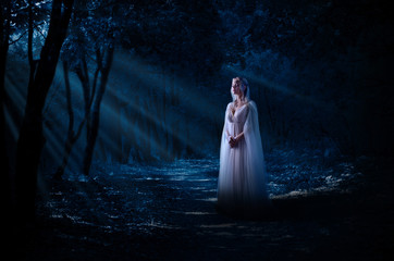 Elven girl in night forest