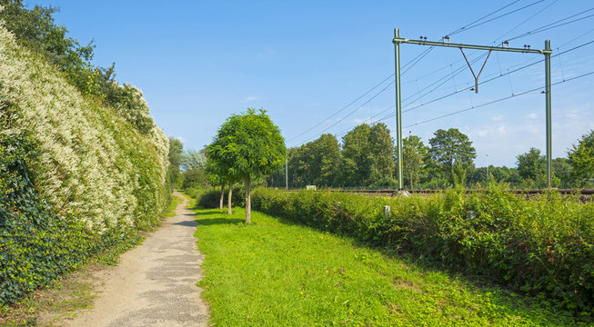 Railroad through the countryside in summer