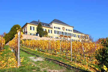 Fototapeta na wymiar Schloss Johannisberg im Rheingau (Herbst 2015) 