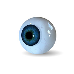 Eye ball isolated on white background - 95275543