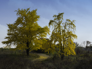 Obraz premium OLYMPUS DIGITAL CAMERA