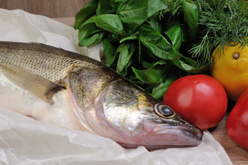 Raw fish pike perch
