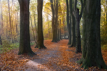 Ein schöner Herbsttag