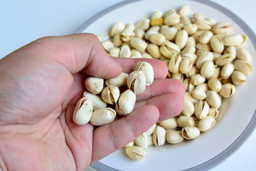 Pistachio in hand