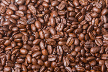 Kaffeebohnen