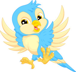 Cute bird cartoon