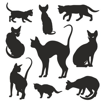 Cats silhouettes elegant graphic icon vector set