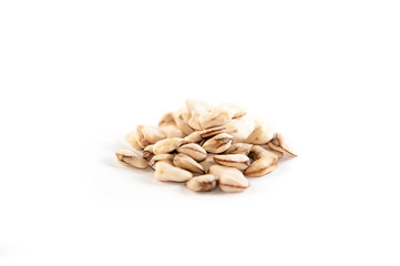 cicerchia antichi legumi