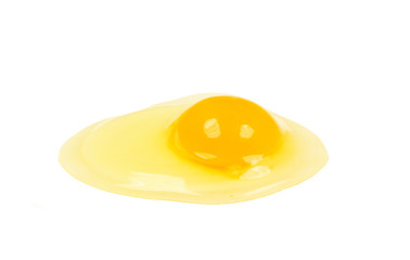 egg yolk