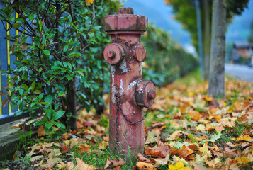 red hydrant in the street full of colored leaves