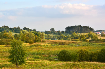 Fototapeta na wymiar Landscape with meadows and marsh