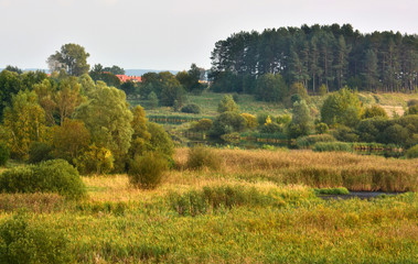 Fototapeta premium Landscape with meadows and marsh