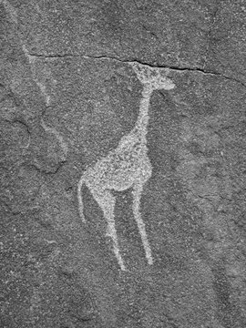 Giraffe engraving in Twyfelfontein