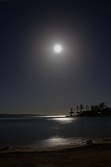 Fototapeta na wymiar tropical night with a full moon over the sea