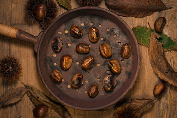 The hand is planting the seed of the house, saving and investment concept, Italy 