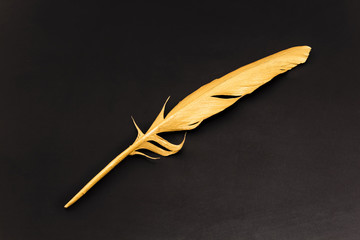 Gold feather on a black background