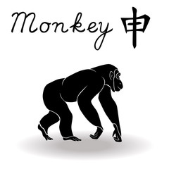 Fototapeta premium Chinese Zodiac Sign Monkey
