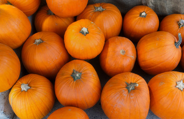 pumpkins at the market for halloween or thanksgiving
