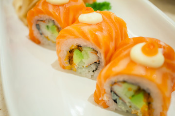Salmon sushi rolls on white plate