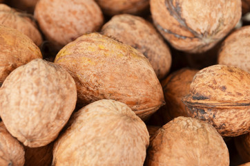 Ripe walnut (Juglans regia), close up, DOF