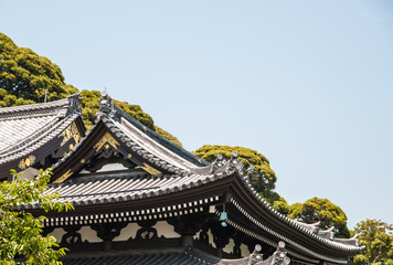 Japanese style roofs