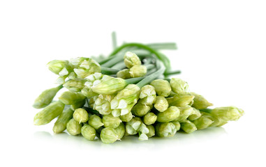 Chives flower or Chinese Chive isolated on white background