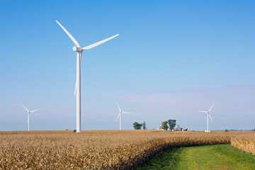 Cornfield with Wind Turbines - 95296950