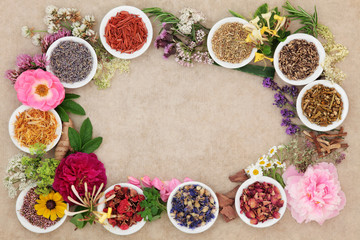 Herbal Medicine Border