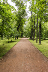 Fototapeta na wymiar Beautiful park path