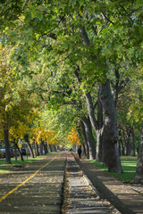 Walk in the park