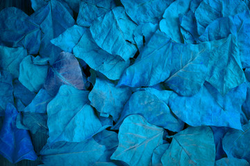 blue autumn leaves