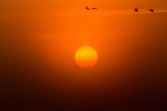 Fototapeta Sunset a misty summer morning