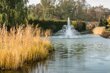 Вид на озеро в парке © ais60