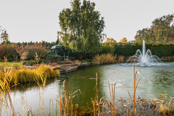 Вид на озеро в парке © ais60