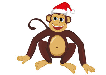 Monkey in the Christmas cap