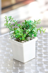 Plastic pot plant decorated on the table.