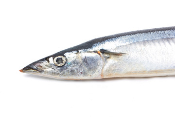 Fresh Pacific Saury isolated on white.